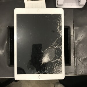 LINE_ALBUM_2025.4.24_250424_8